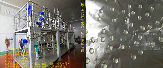 祝賀國內(nèi)首套釜式連續(xù)加氫中試成套裝置一次出料成功！.jpg
